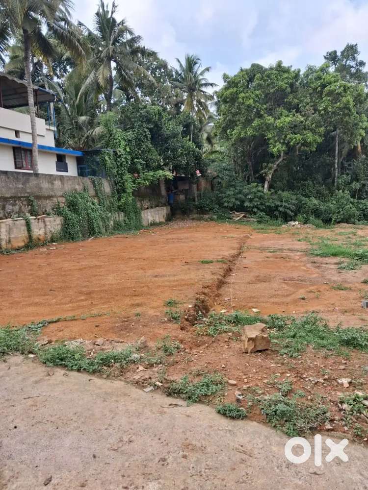 3 Plots in vellayani santhivila sarvodaya road .4 cent 3 cent 8 cent.