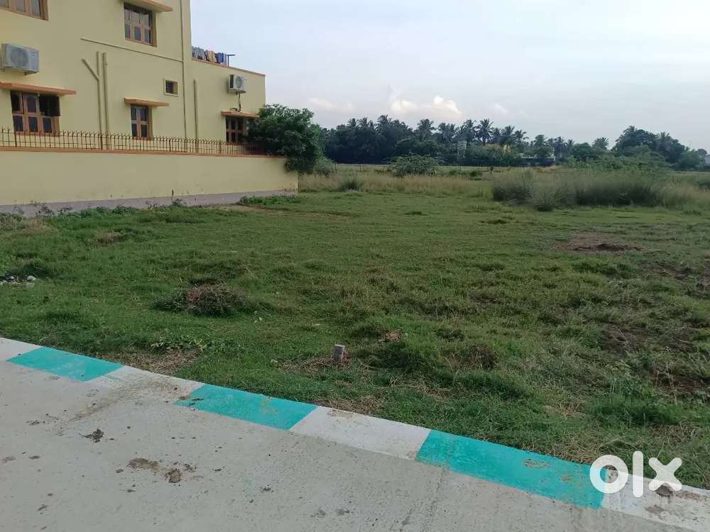 School main road