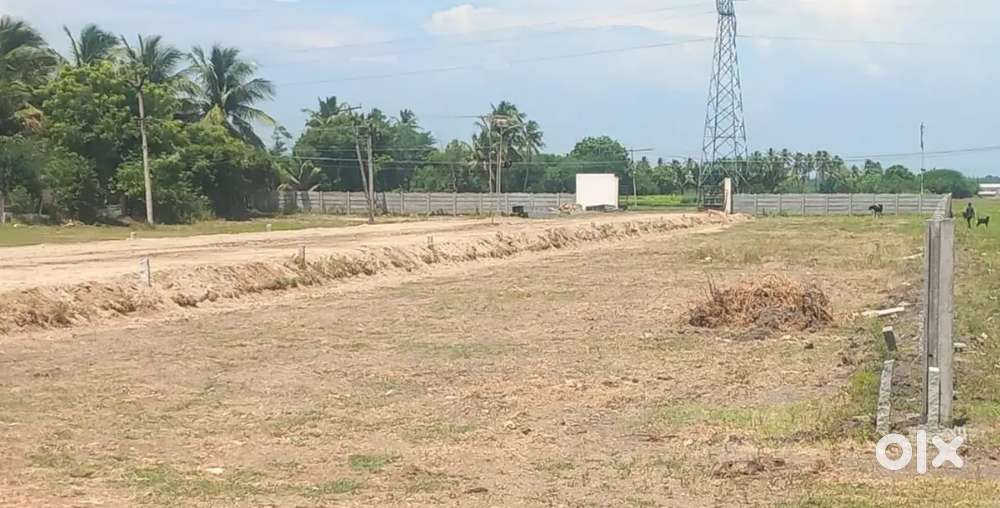 Very low rate Dtcp approved plot close to Allithurai
