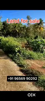 Plot for sale