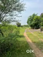 Near from krishna talkies market