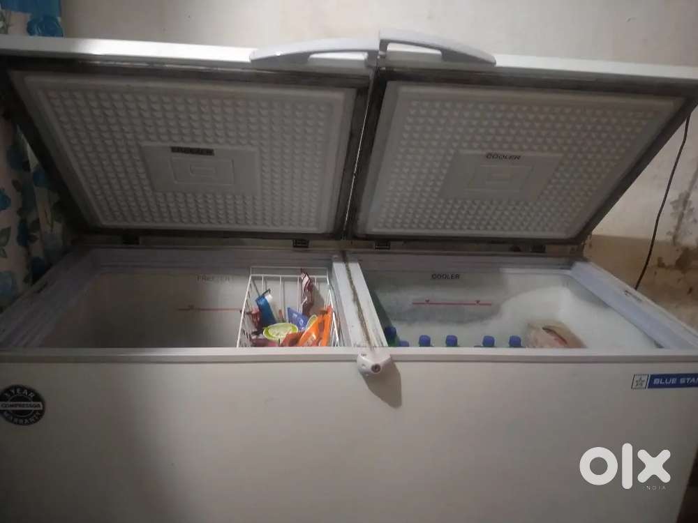 Double door  deep freezer Blue Star