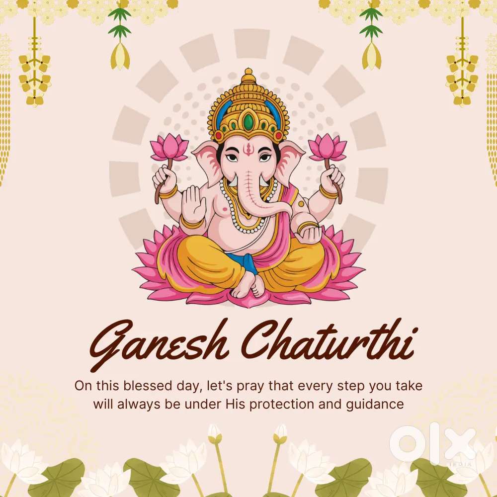 Graphic Designer / Video Editor