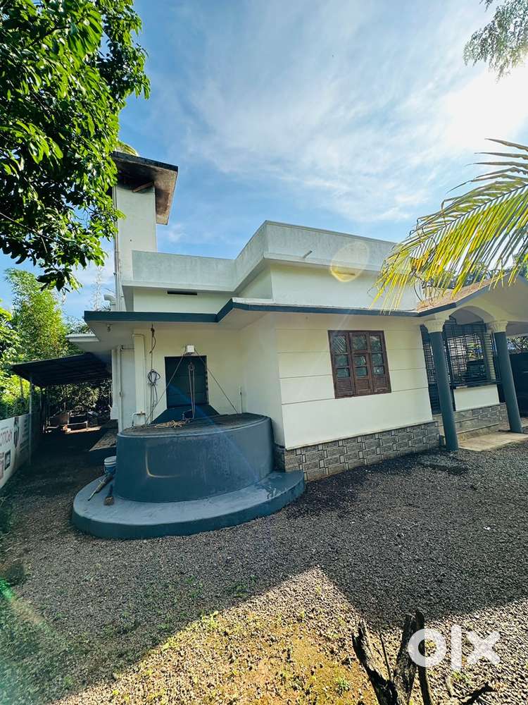 Neat and clean house