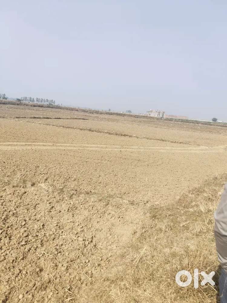 कपसेठी जिला वाराणसी। 7 बीघा  जमीन बिकाऊ है।