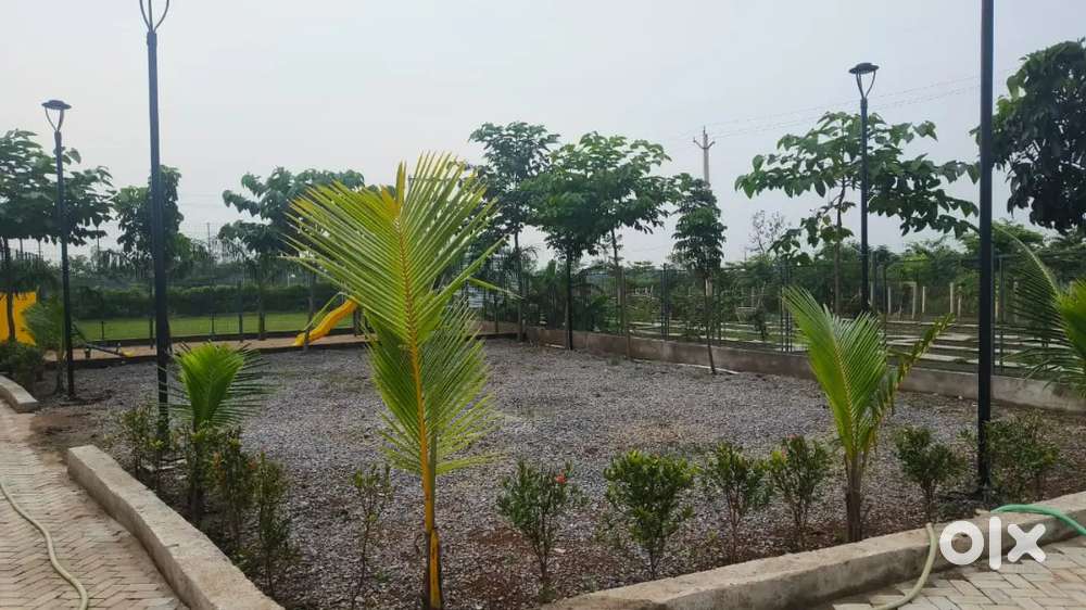 Plots in Vidhan sabha  Road Raipur