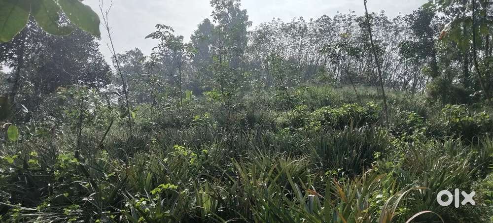 1 akar 10 cent land for sale