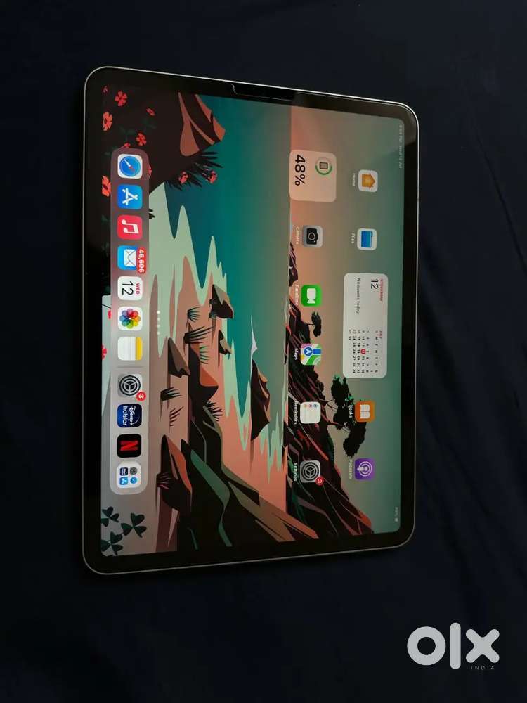 Ipad 11 inch (64 gb)