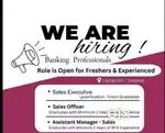Looking for Banking or NBFC experienced Candidates (Not for fresher)