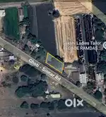 Open plot for rent