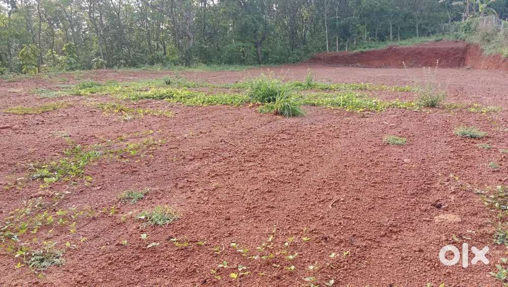 40 സെൻറ് വസ്തു വില്പനക്ക് കൊട്ടാരക്കര മുനിസിപ്പാലിറ്റി നെല്ലിക്കുന്നം