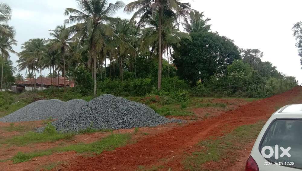 24 cents Land for sale at Belthangady Dhakshina kannada