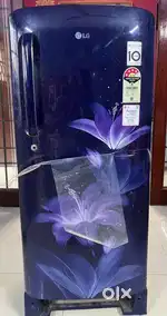 LG Refrigerator 190 L - Inverter Direct Cool Single Door