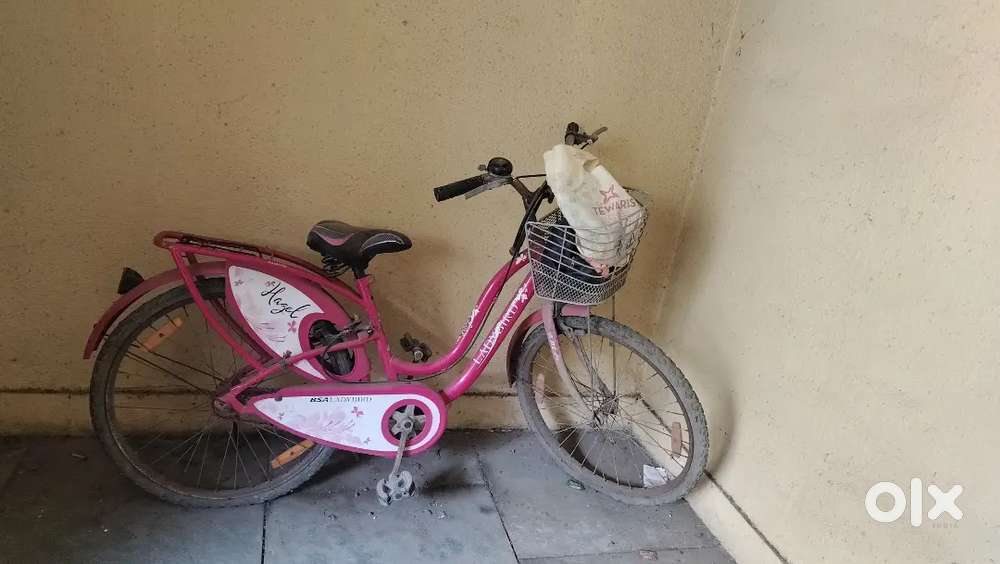 Ladybird cycle for use it is fit and fine and can be used daily