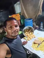 We want best masters for chainese
