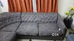 3+3+1 L shaped sofa set