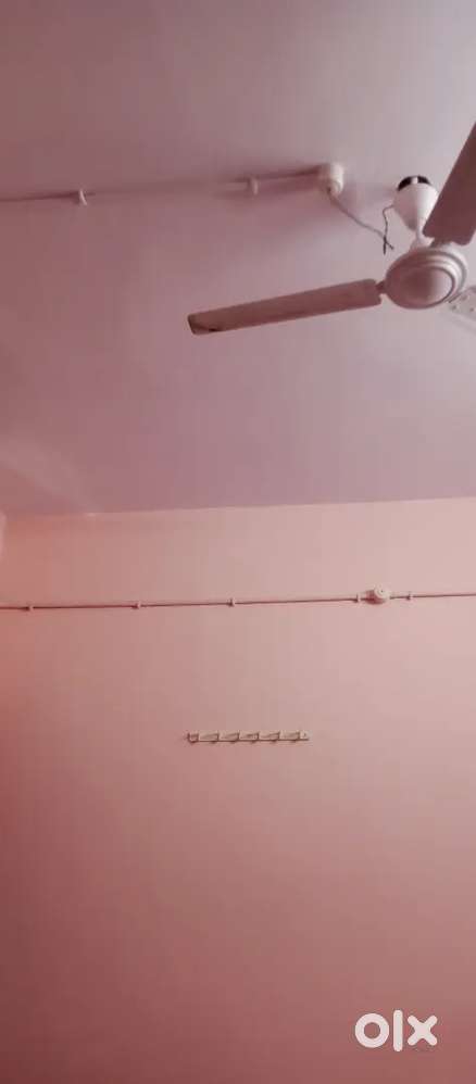 Need a boy's roommate