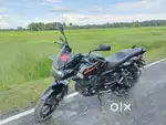 Pulsar 125 for seal