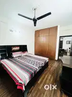 1bhk furnished flat for rent, 1bhk flat for rent, independent 1bhk