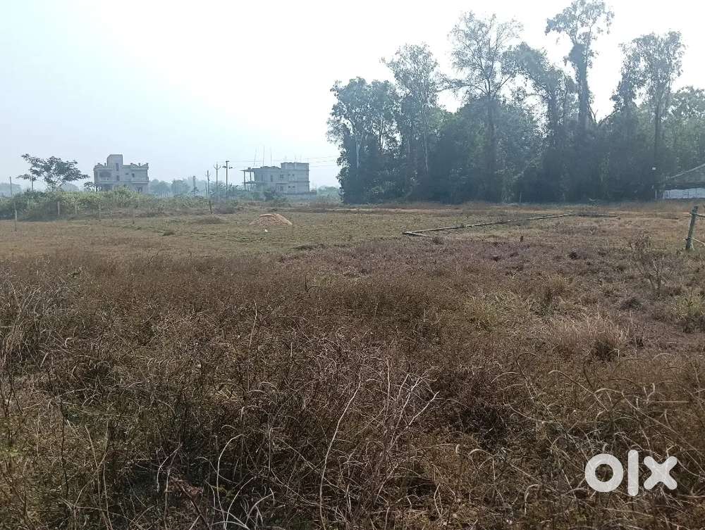 5.5 dismil 5 lakhs per dismil isani mouja