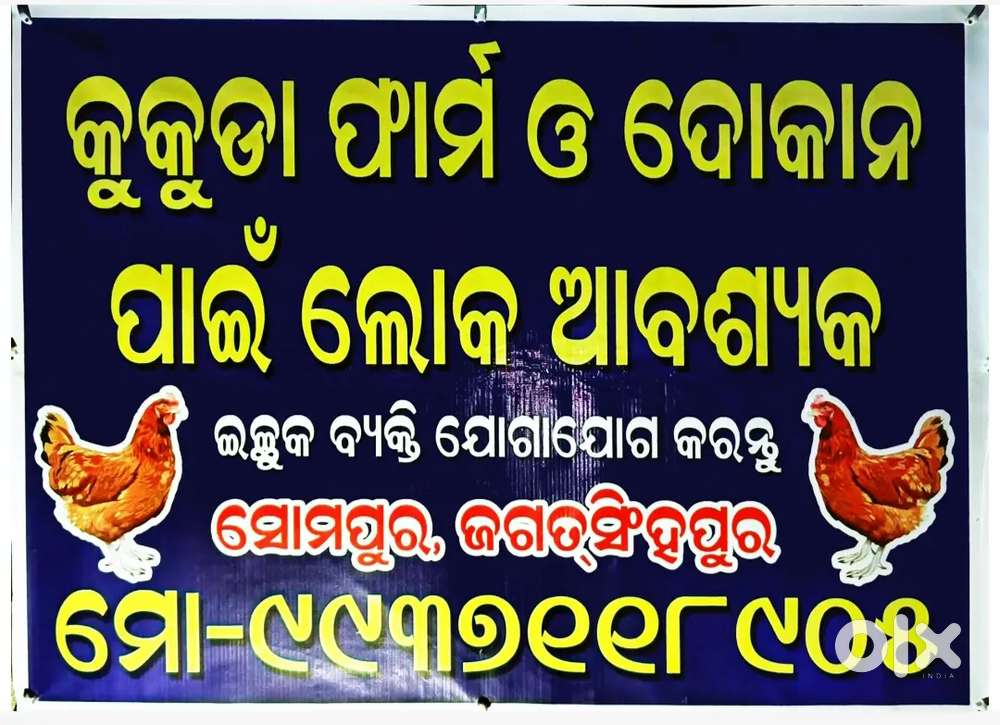 କୁକୁଡ଼ା ଫାର୍ମ ଏବଂ କୁକୁଡ଼ା କାଉଣ୍ଟର ପାଇଁ ଜଣେ ଲୋକ ଆବଶ୍ୟକ।