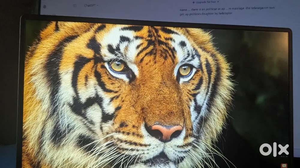 HONOR MagicBook X 15