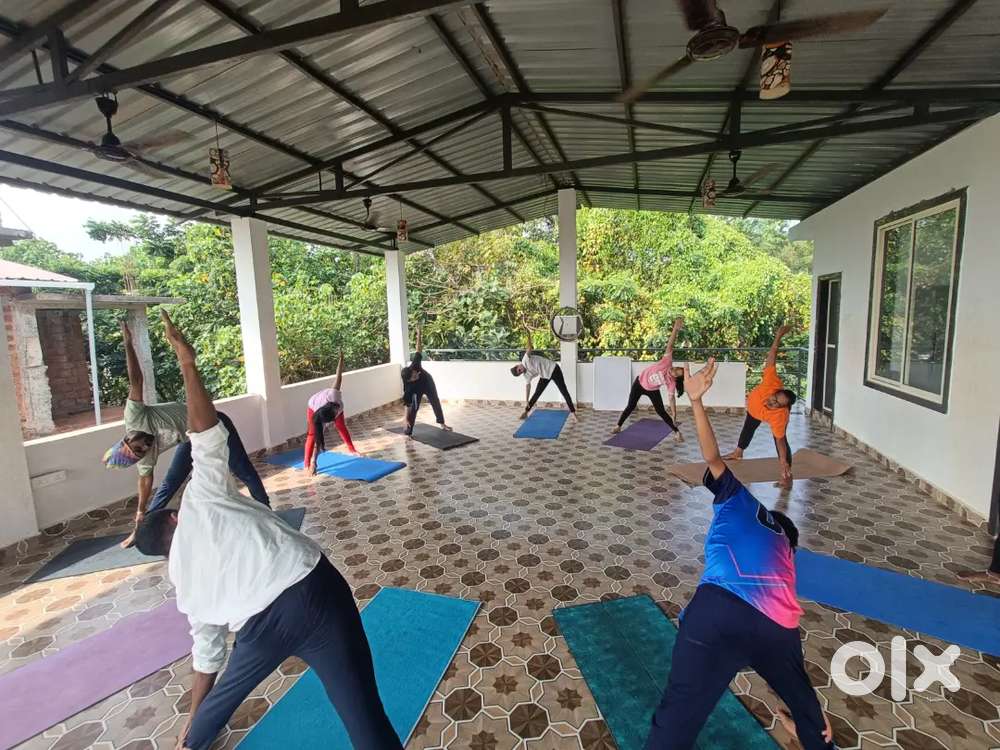 Yoga Classes
