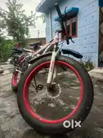 Bmw bicycle