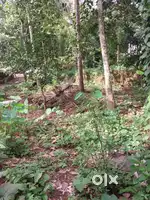 Land for villa project or schools or farms