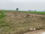 Land for sale uses factory or godowns