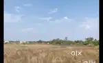 Land For Sale near Baisuhalli