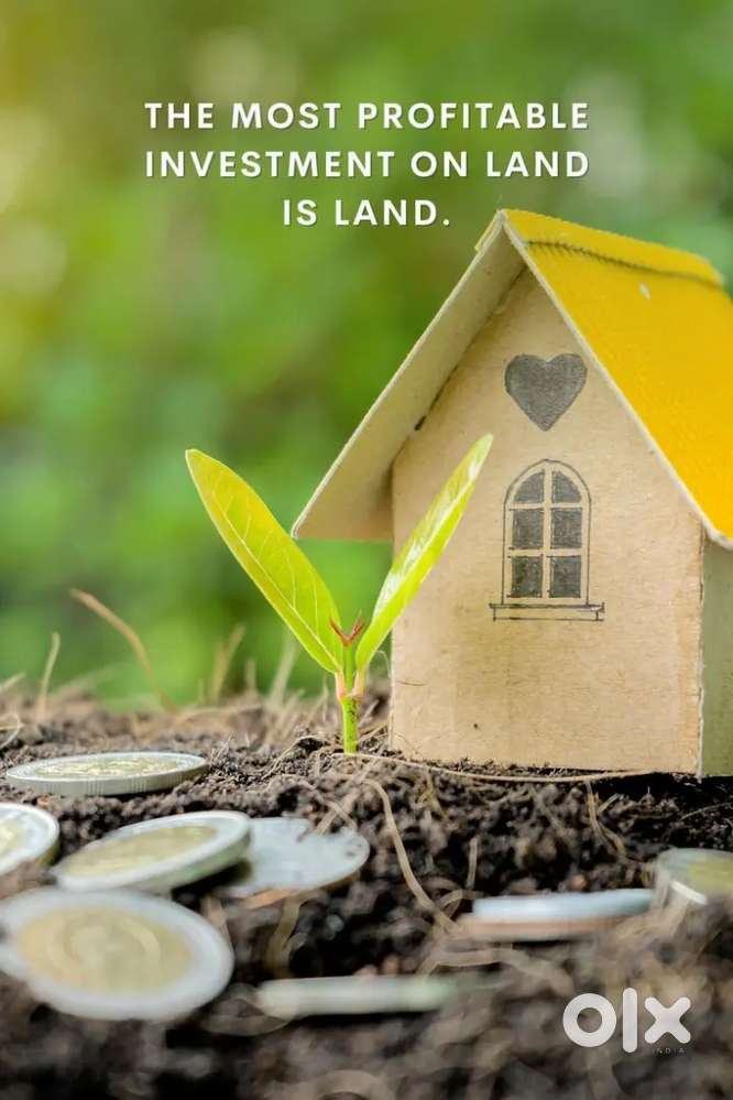 We have a 3 acre land avilable for sale , located  near the roadside.