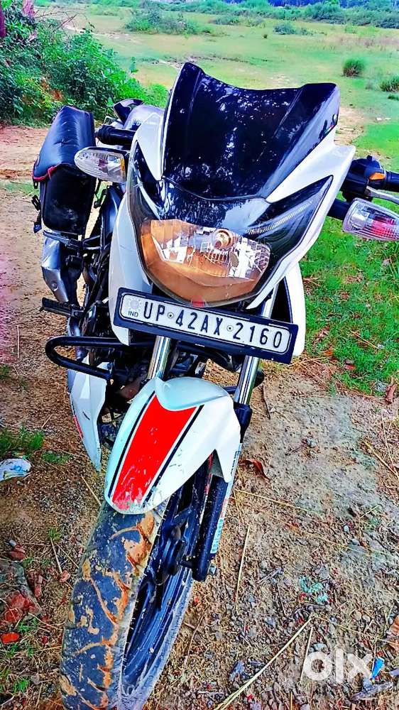 2019 model hai