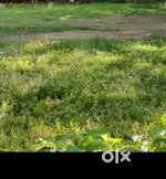 Plot for sale