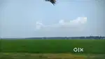 5-Acre Agricultural Land for Sale Near AC Road