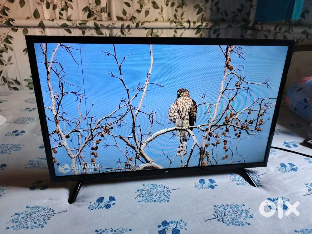 Mi smart led 32 & brand new ladies cycle