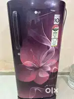 LG smart inverter compressor - 5 star