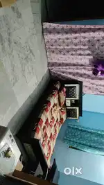 Room sharing for bachelor boys