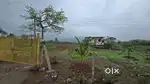 Local station near plots