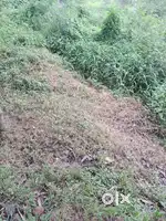 500 mtr ഹരിപ്പാട്റെയിൽവേ സ്റ്റേഷൻ,1 km ഹരിപ്പാട് ബസ് സ്റ്റാൻഡ്