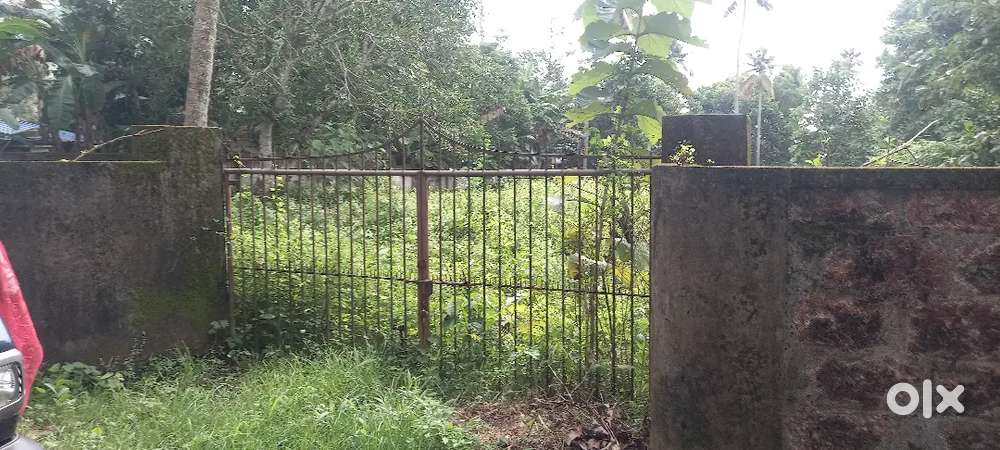 75 cents of Residencial Plot for sale at Paravoor Perumpuzha