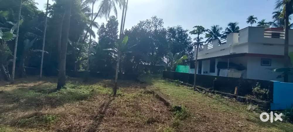 PLOTS AVAILABLE NEAR ANGAMALY APPOLLO HOSPITAL  - JUST 1.5 KM
