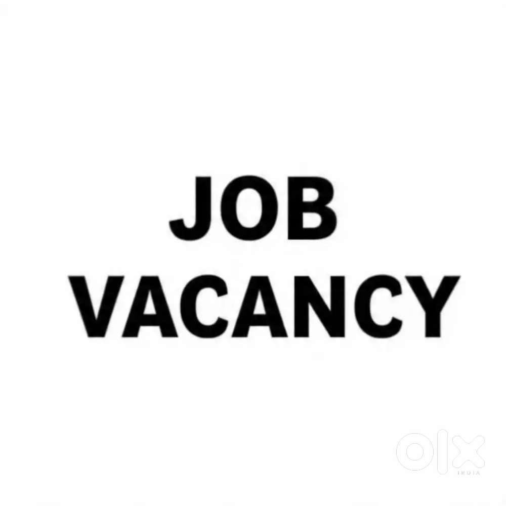 NEW COMPANY OPENING FOR JOB VACANCY AVAILABLE