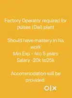 Factory Operator for dal and peas cleaning