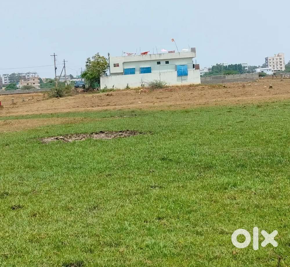 Site for sale near APSP