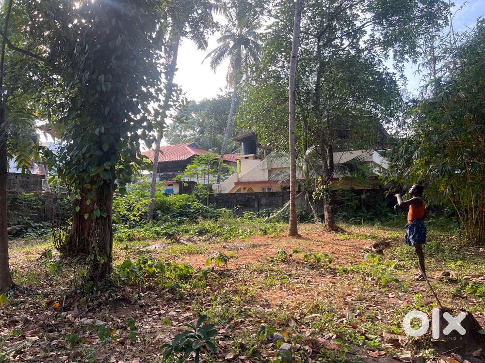 Square Plot for Sale – Ramankulangara, Kollam   Near Highway