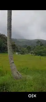 Plot For Sale Near Kattappana