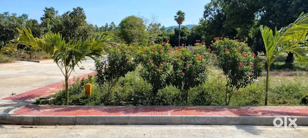 Plot for sale