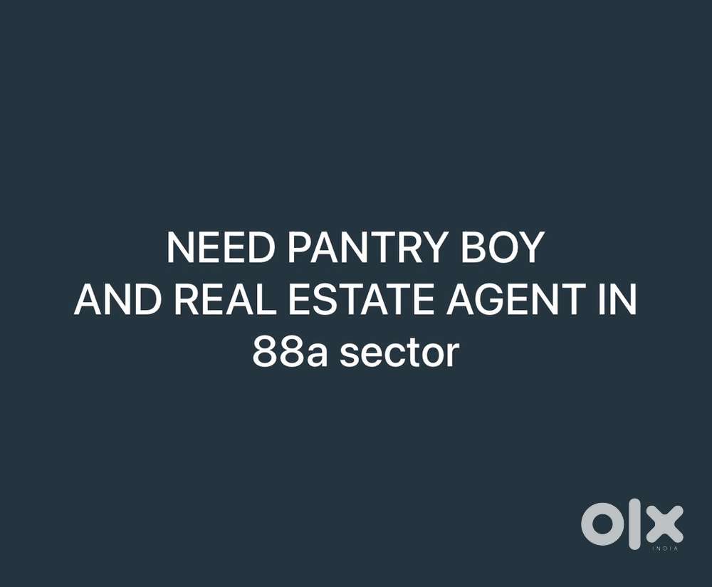 Need pantry boy in real estate office