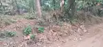 150 MTRS away from kottali arrayambath bus stop.